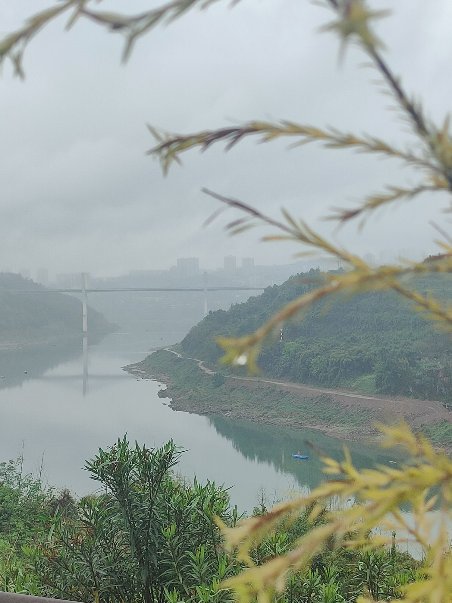悦来滨江公园旅行图片 2