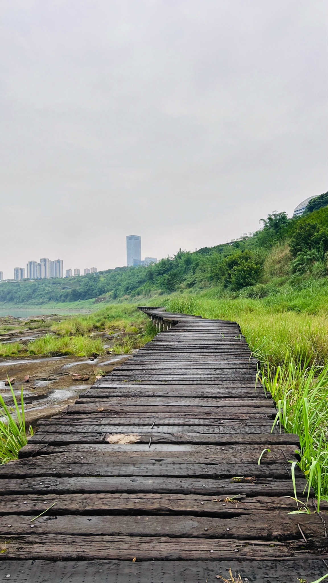 悦来滨江公园旅行图片 1