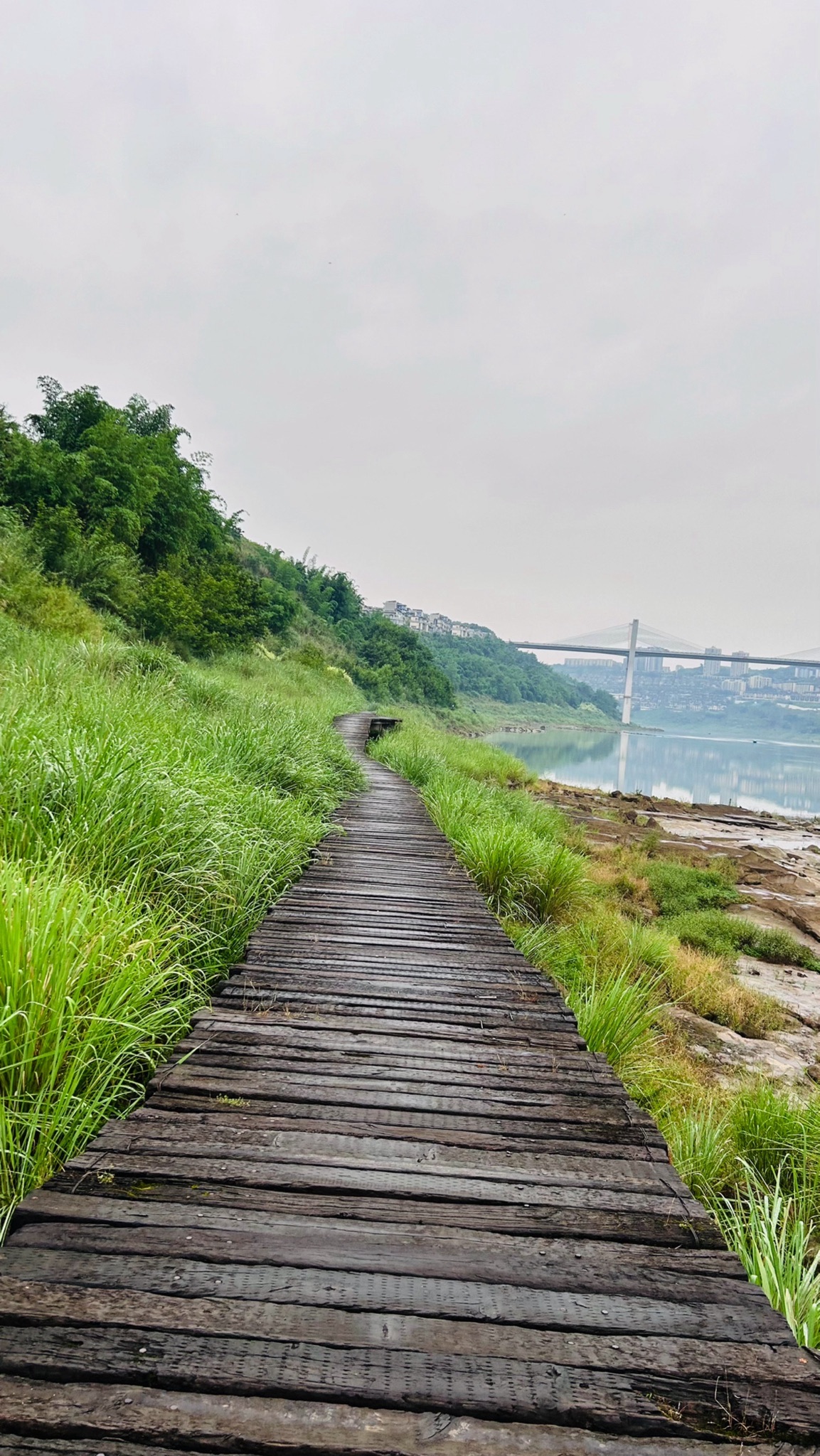 悦来滨江公园旅行图片 2