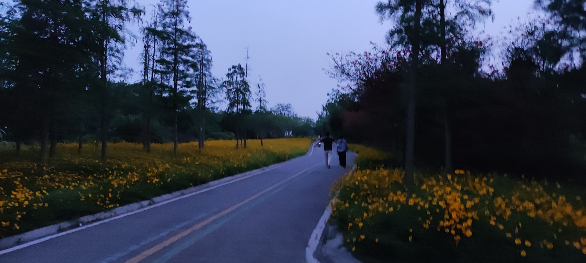 木兰健康主题公园旅行图片 2
