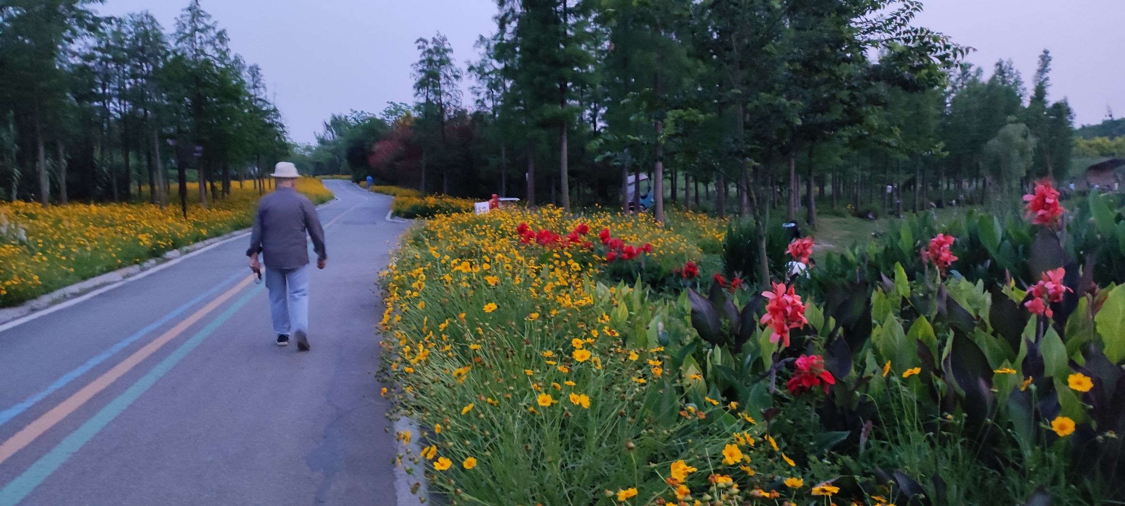木兰健康主题公园旅行图片 1