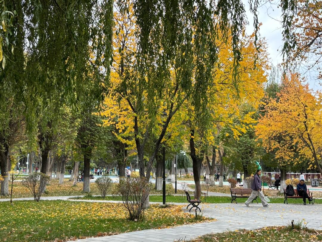 木兰健康主题公园旅行图片 3