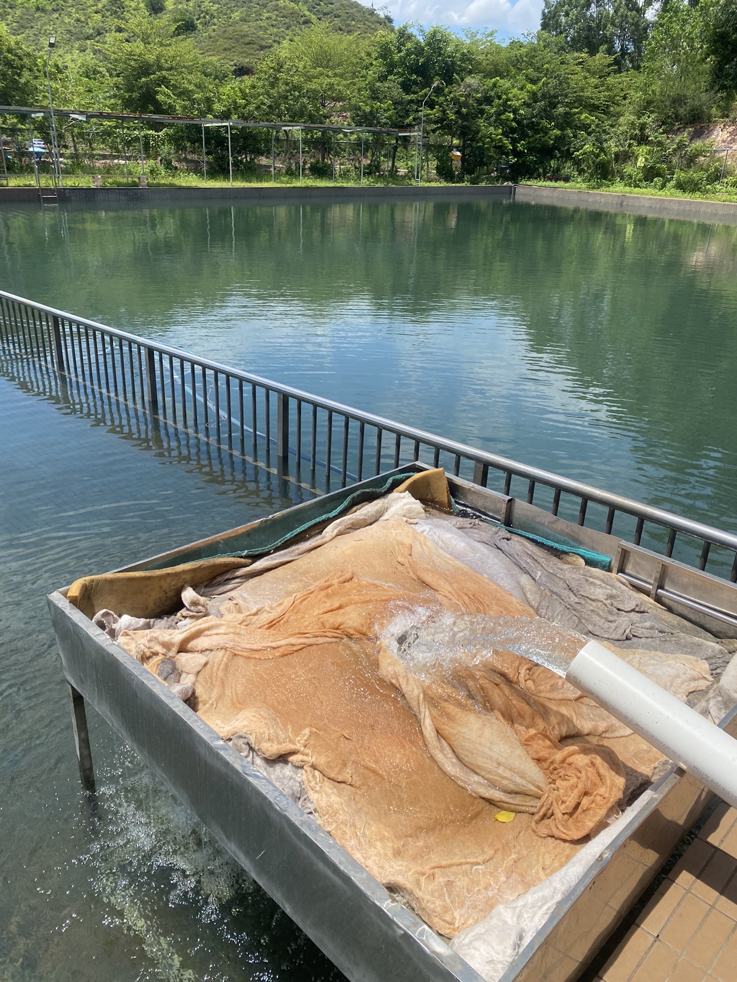 洗马湖休闲钓场