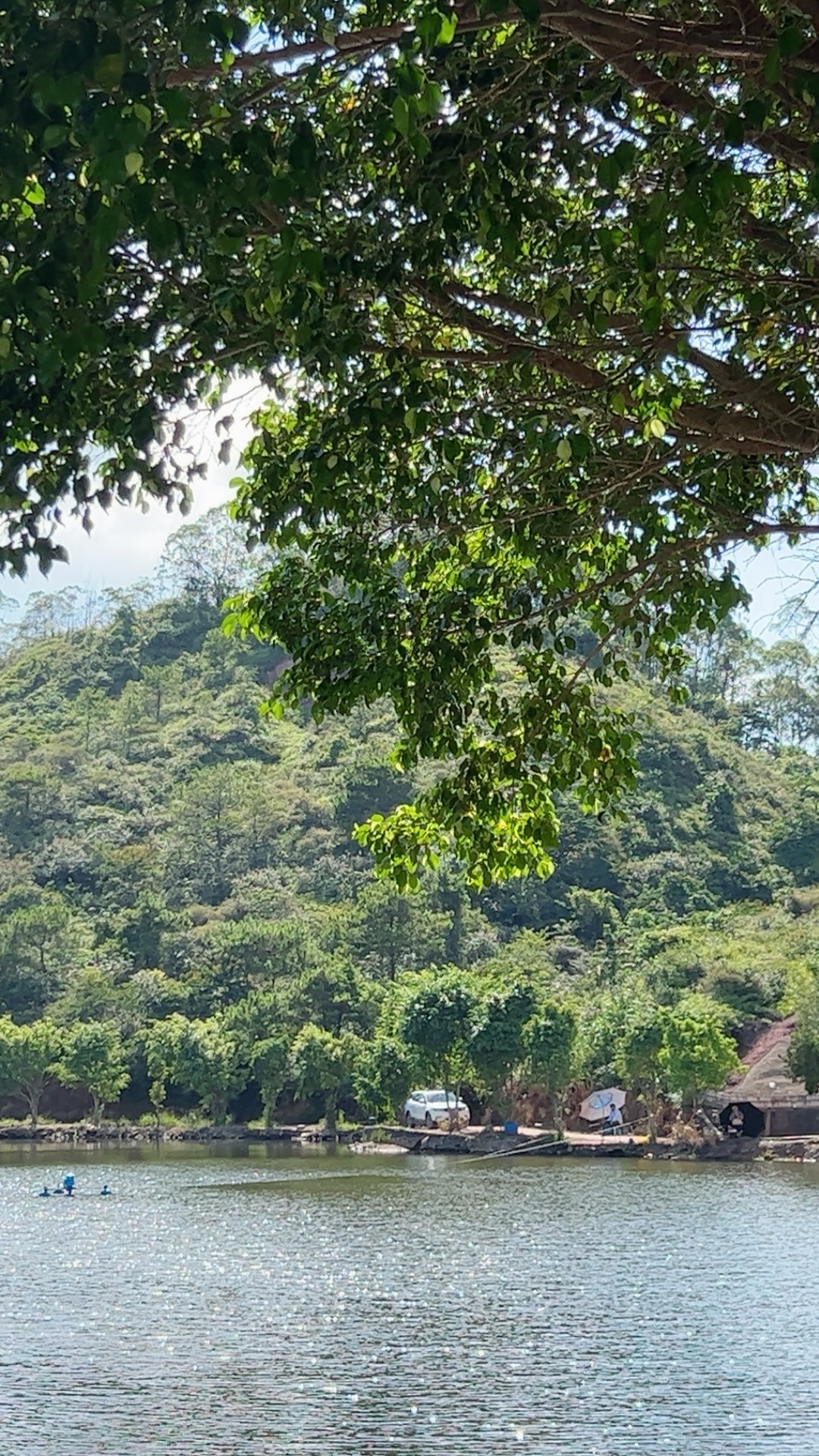 洗马湖休闲钓场