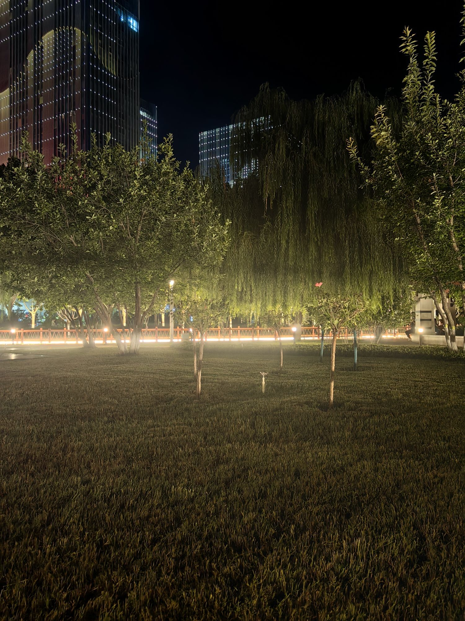 定州市时代公园旅行图片 3