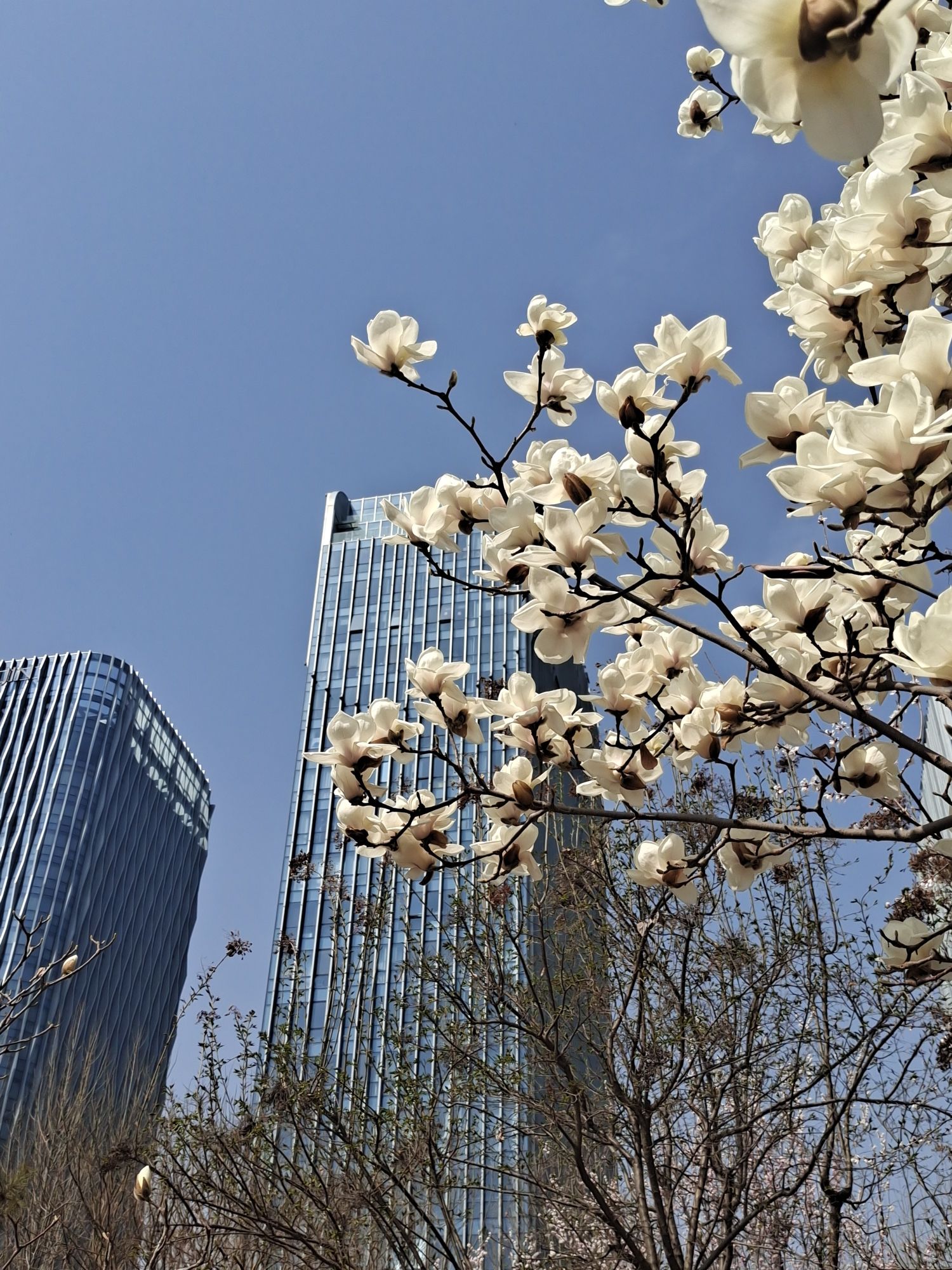 定州市时代公园旅行图片 2
