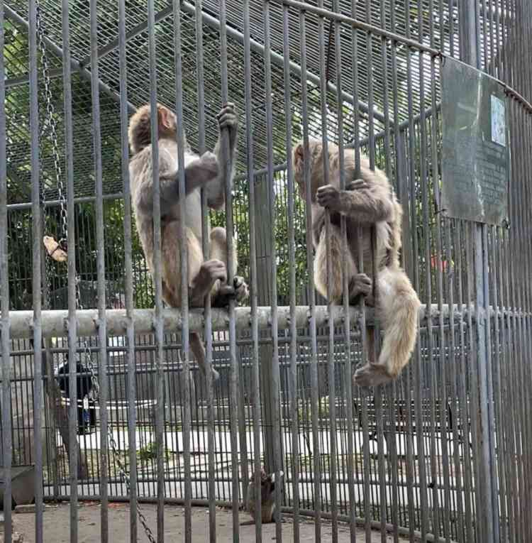 亳州动物园旅行图片 2