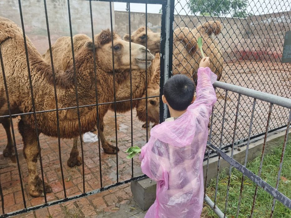 亳州动物园旅行图片 1