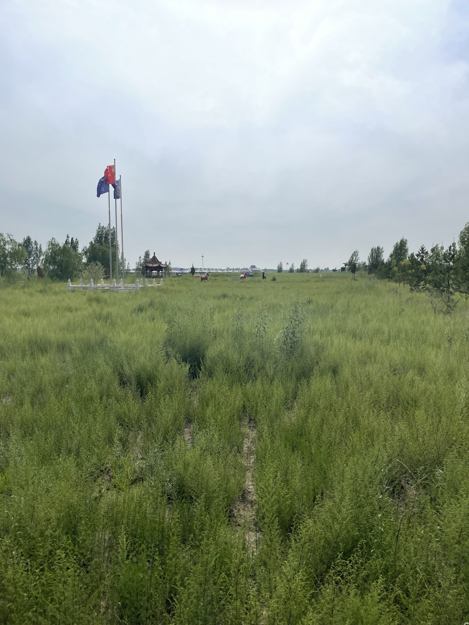 奈曼旗苏勒德旅游景区旅行图片 3