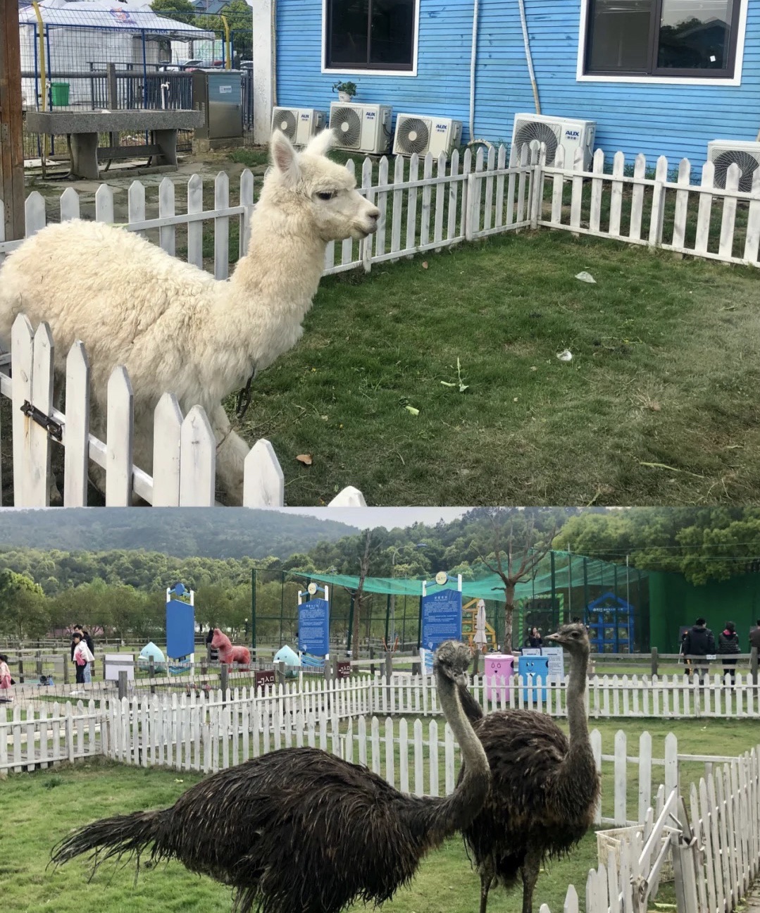 海之湾山海乐园旅行图片 2