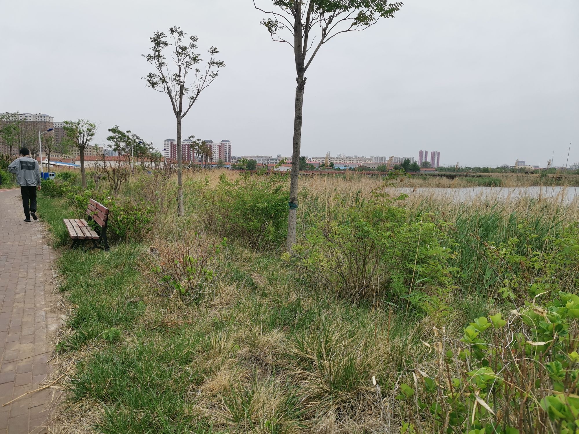 地坤湖公园旅行图片 2