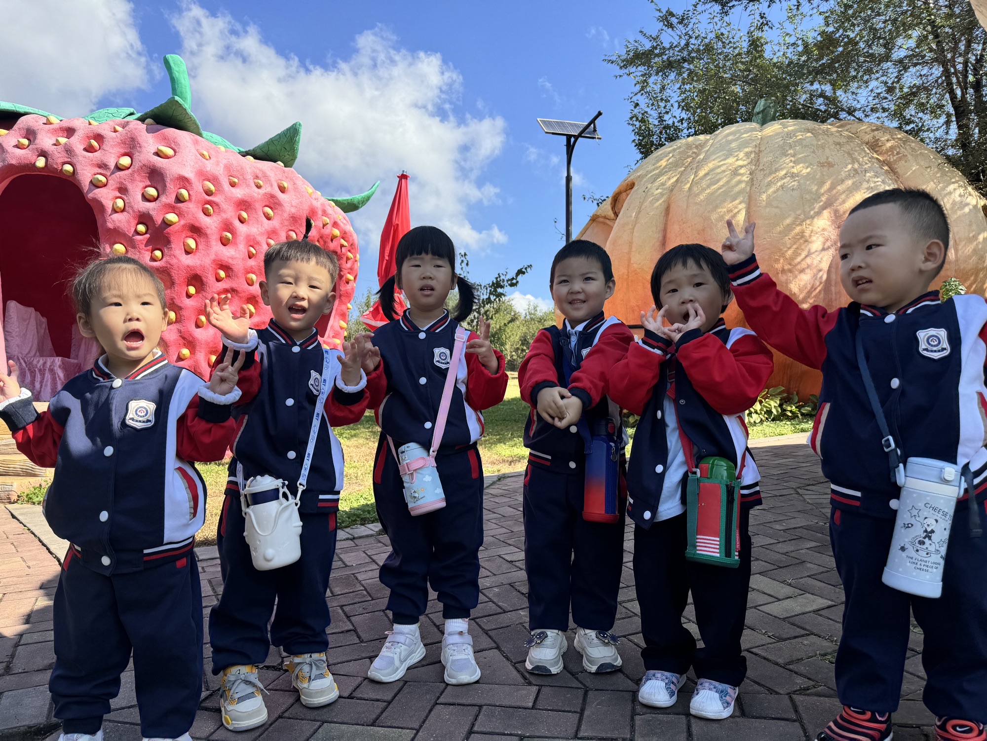 甜果乐园旅行图片 2