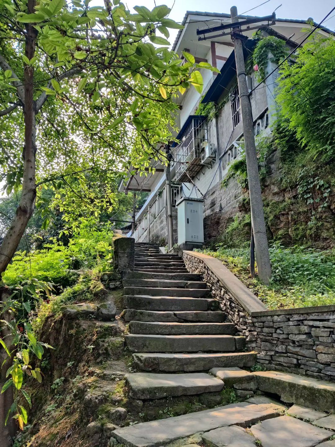 蔺市古镇旅行图片 2