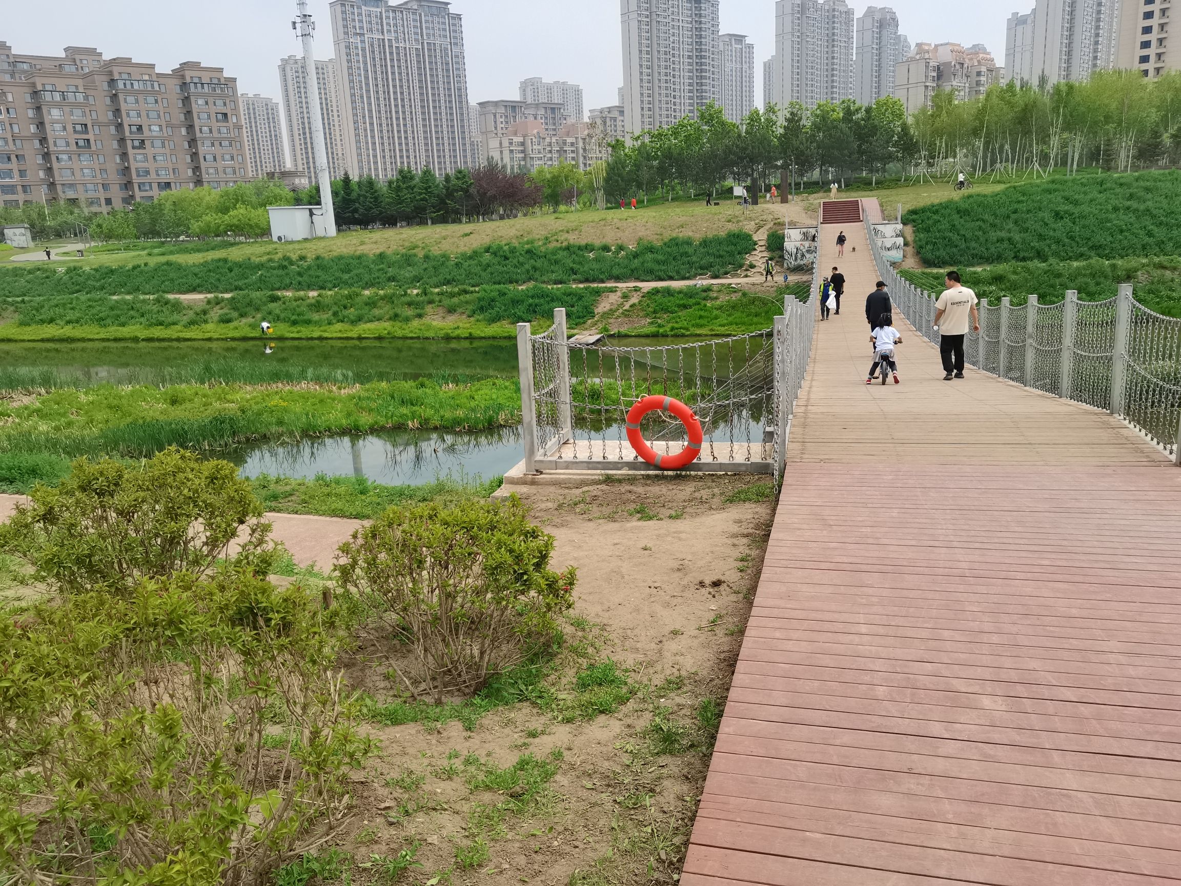 洋浦公园旅行图片 3