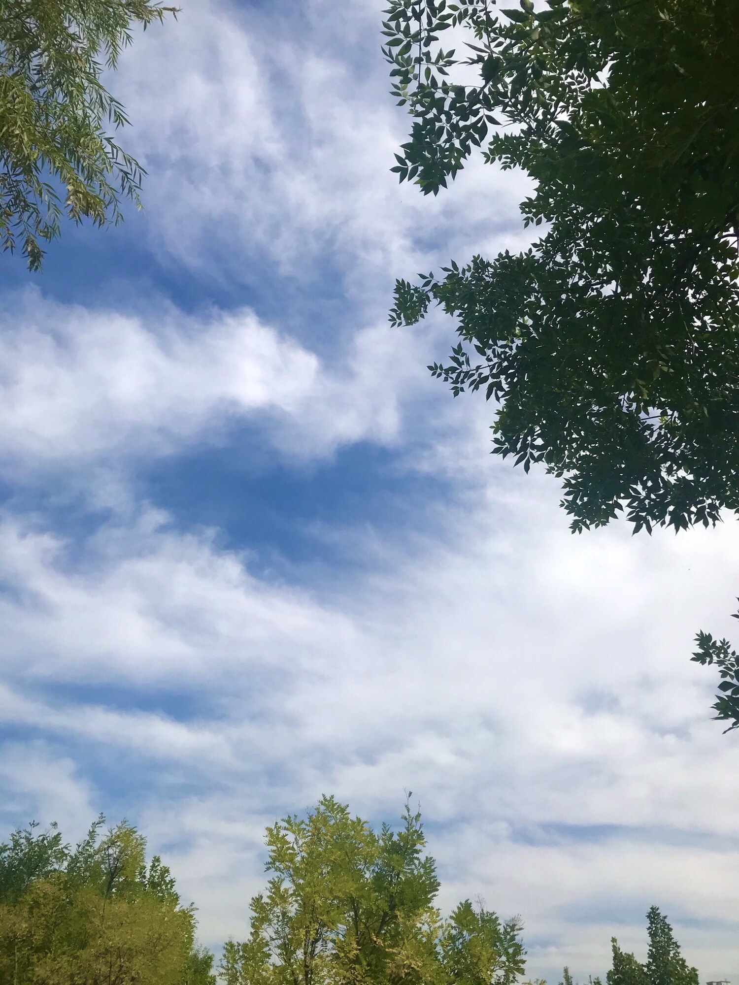 瀛海休闲公园旅行图片 3