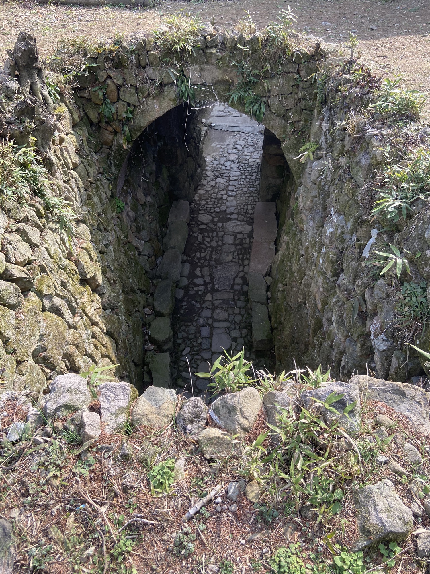独松关和古驿道旅行图片 2