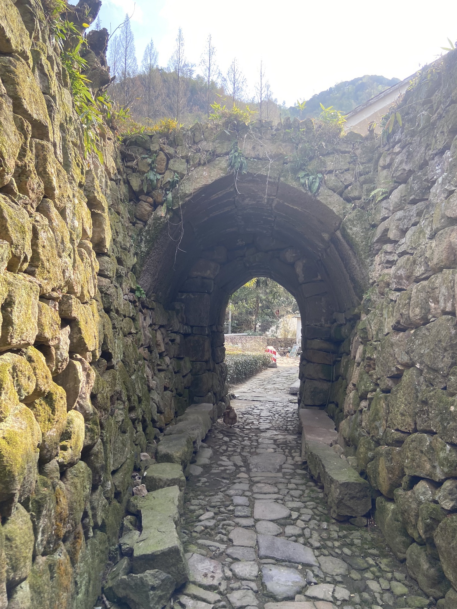 独松关和古驿道旅行图片 1