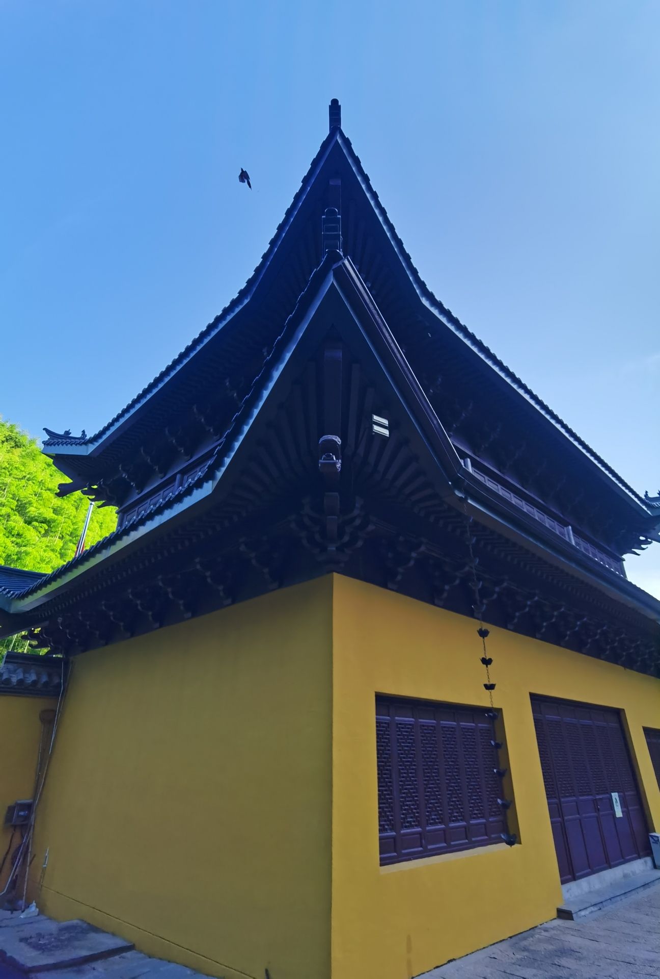 独松关和古驿道旅行图片 3