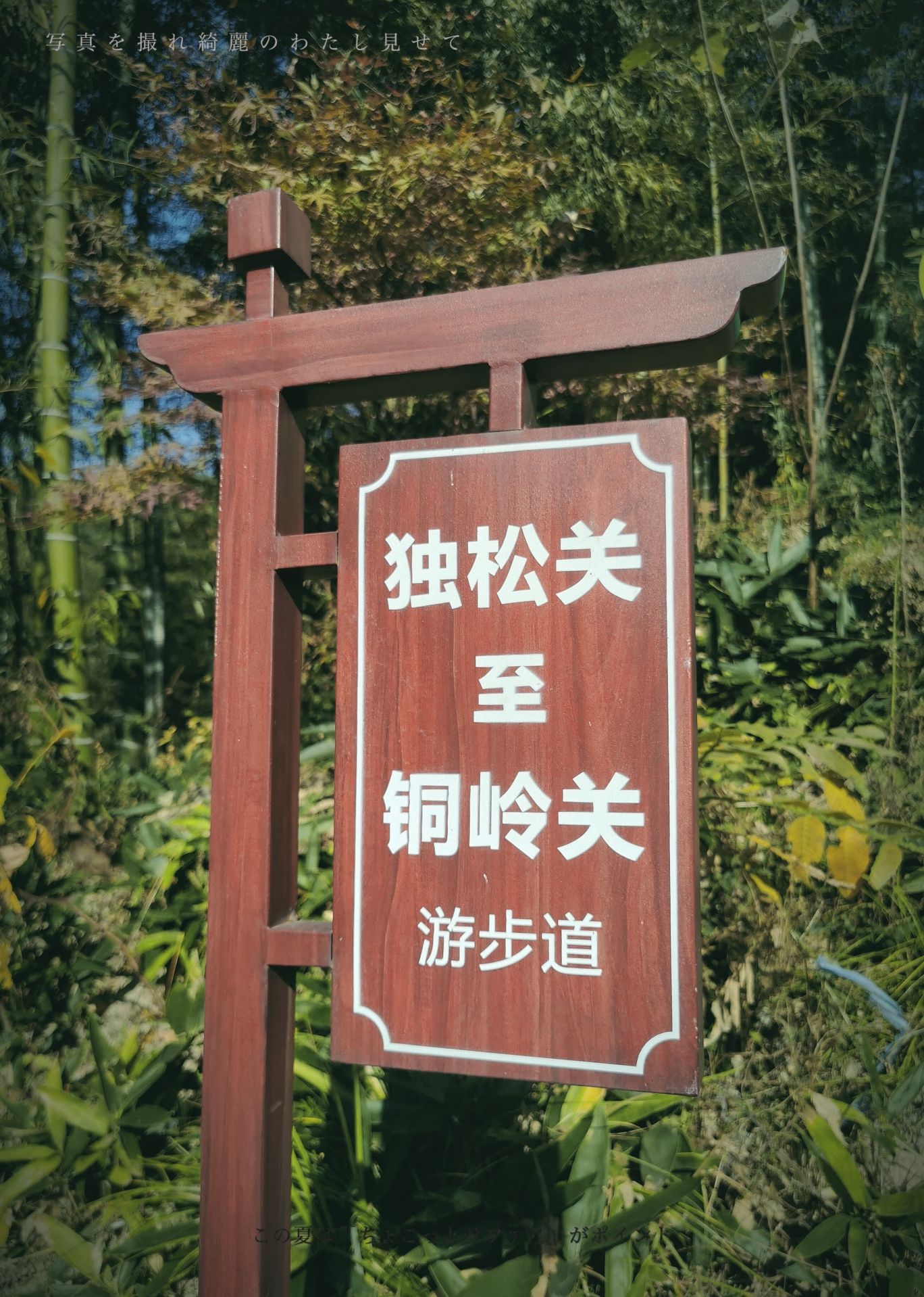 独松关和古驿道旅行图片 2