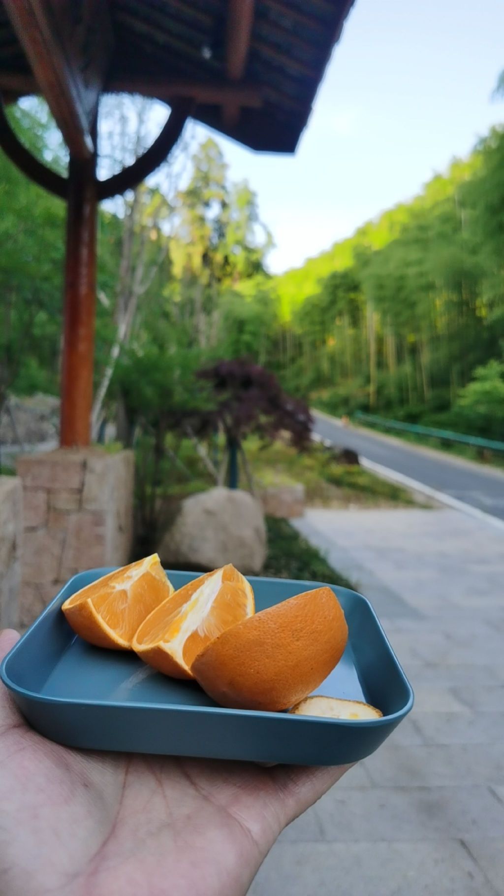 独松关和古驿道旅行图片 1