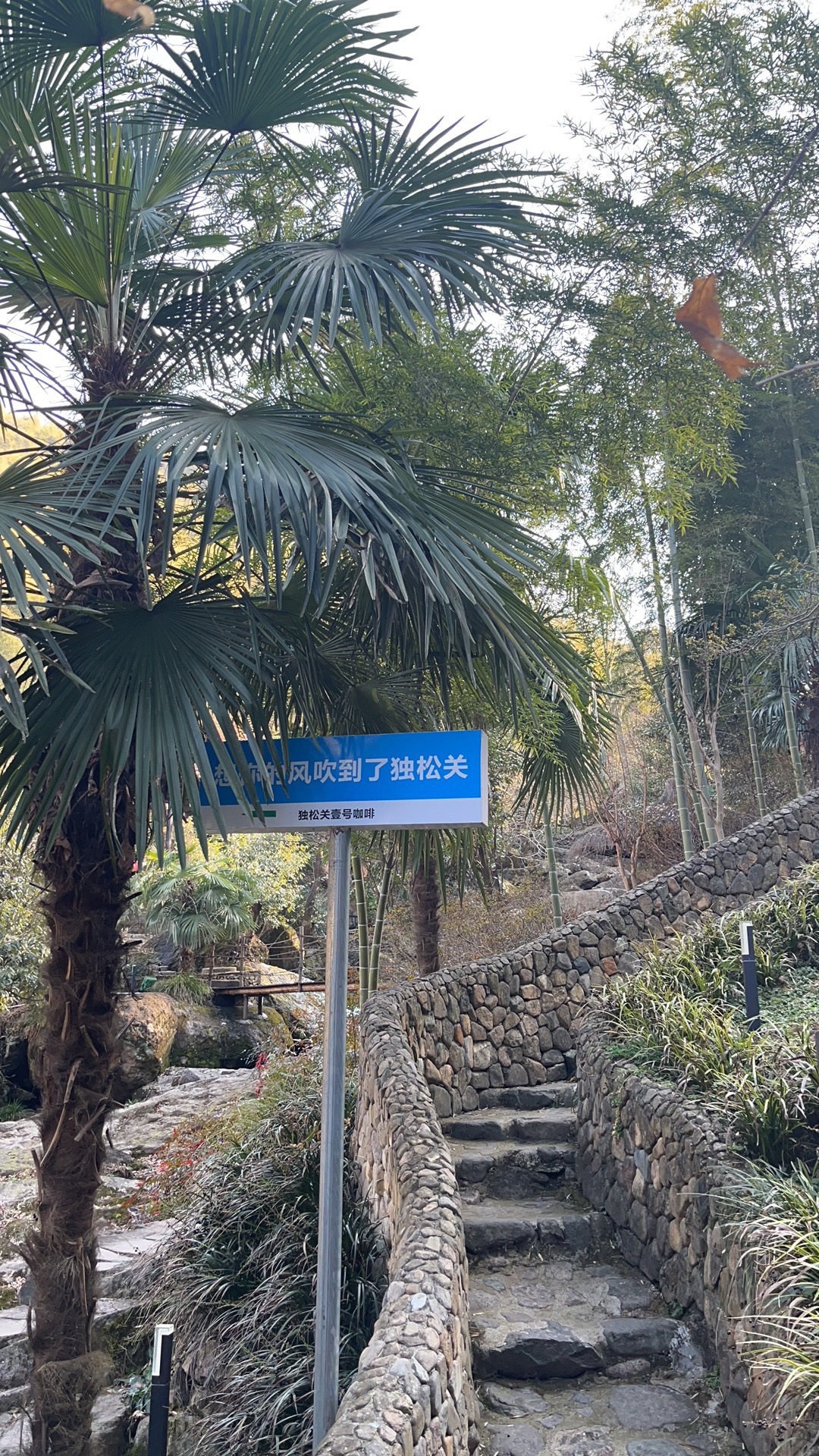 独松关和古驿道旅行图片 3