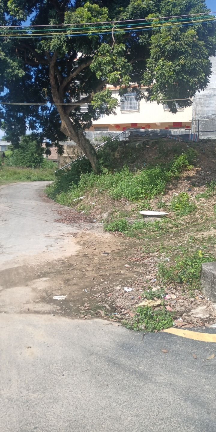 玉龟园旅行图片 1