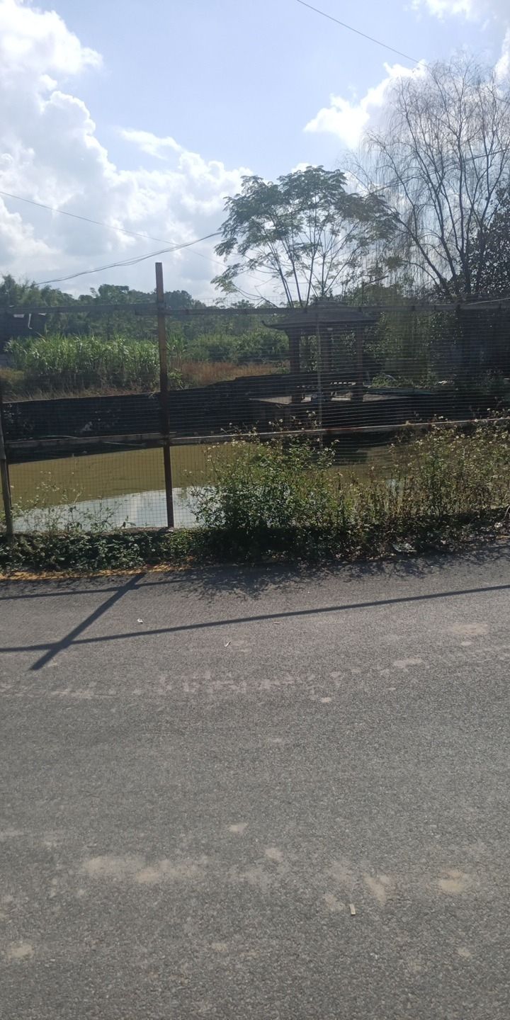玉龟园旅行图片 2