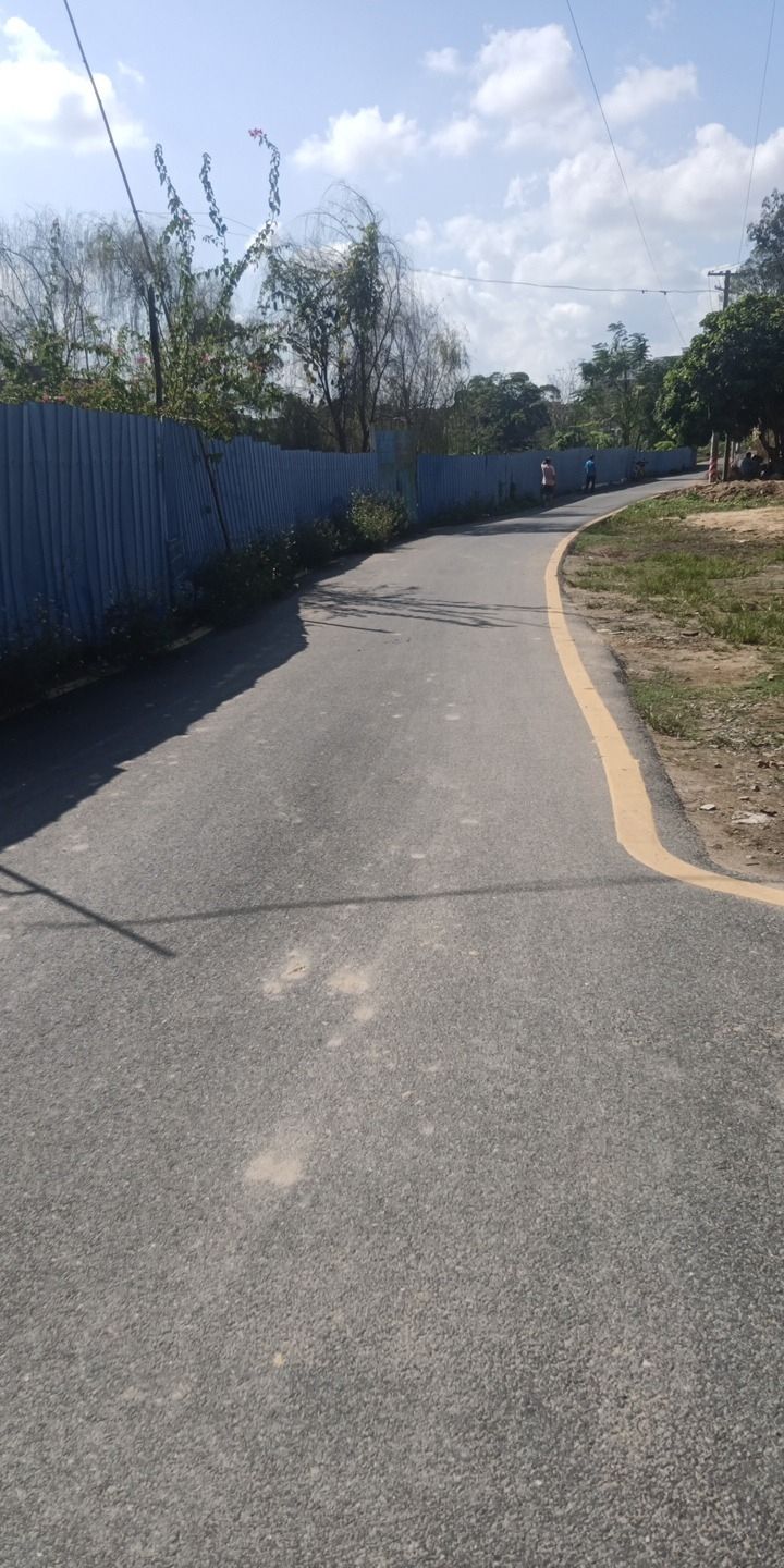 玉龟园旅行图片 3