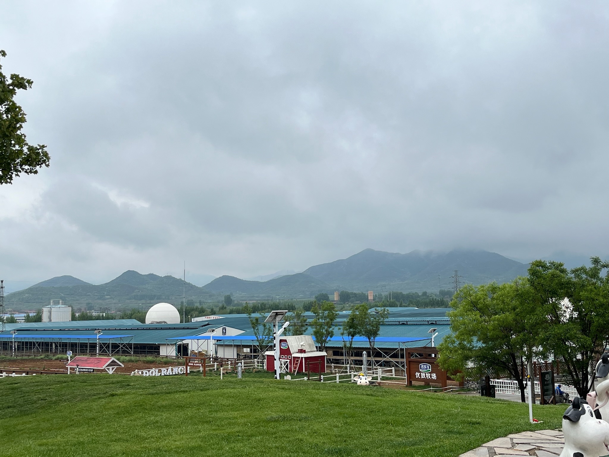 君乐宝优致牧场旅行图片 3