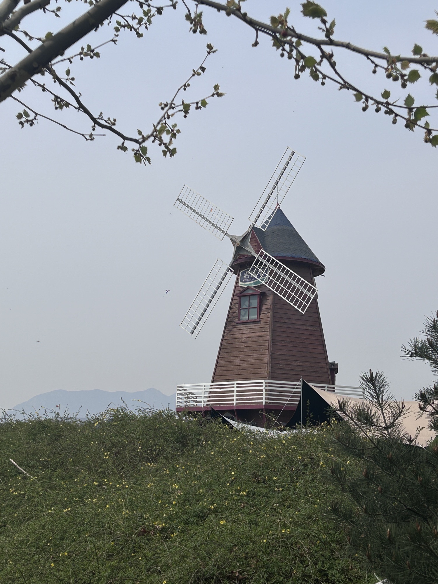 君乐宝优致牧场旅行图片 3