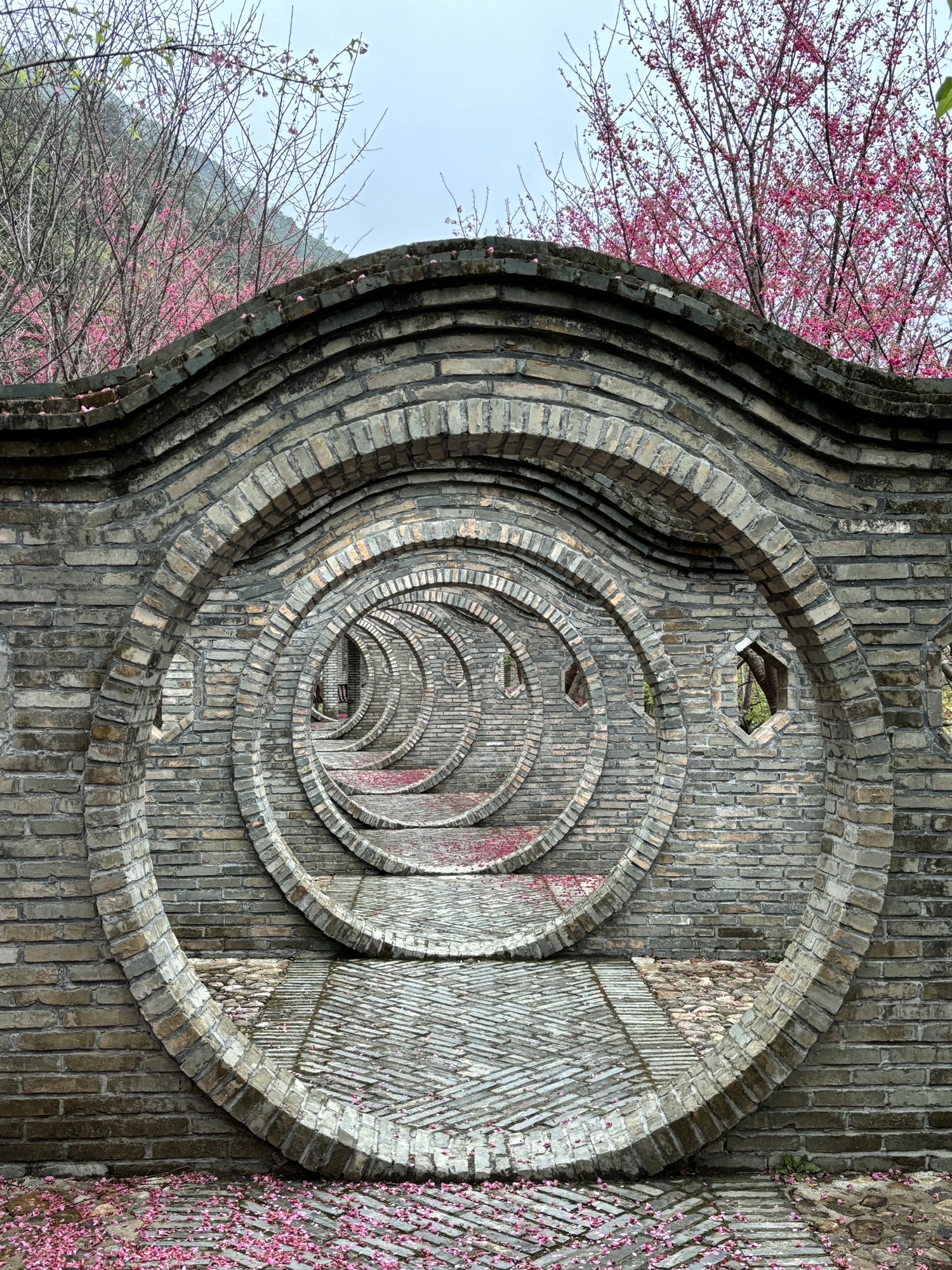 贝里溪蟹谷景区旅行图片 2