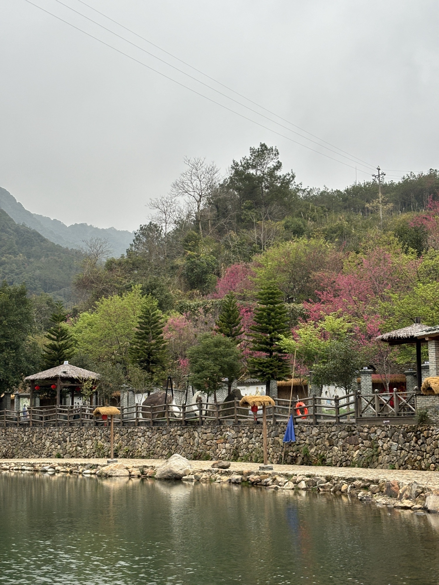 贝里溪蟹谷景区旅行图片 3