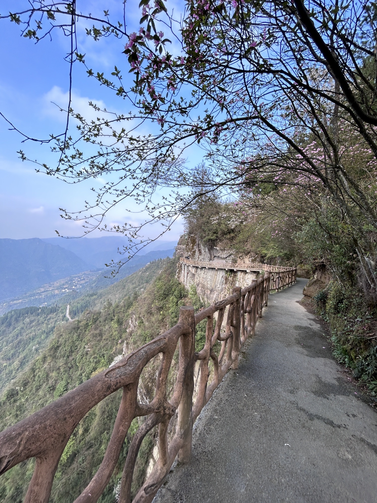万寿山景区旅行图片 3
