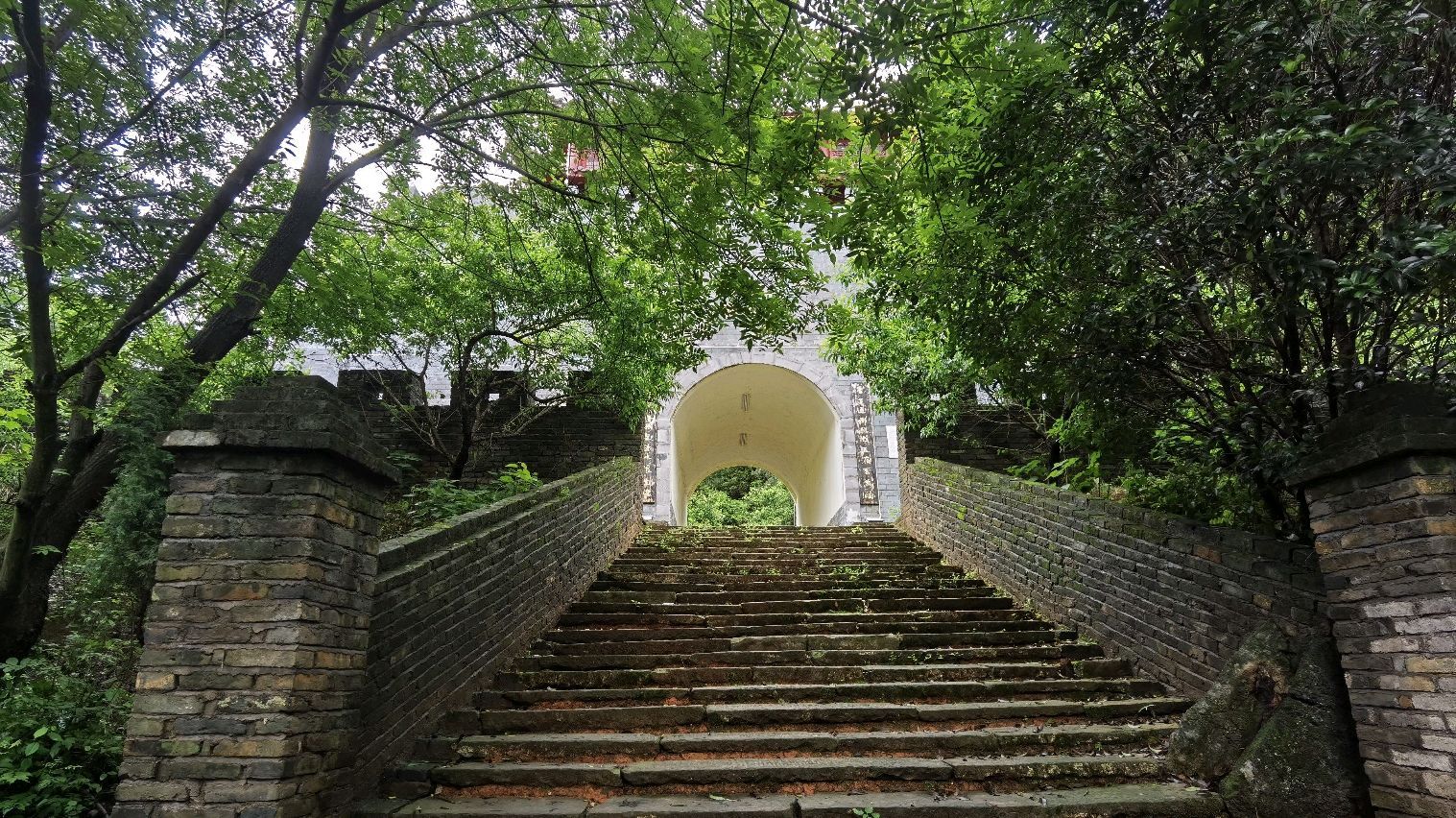秦汉古道森林公园旅行图片 3