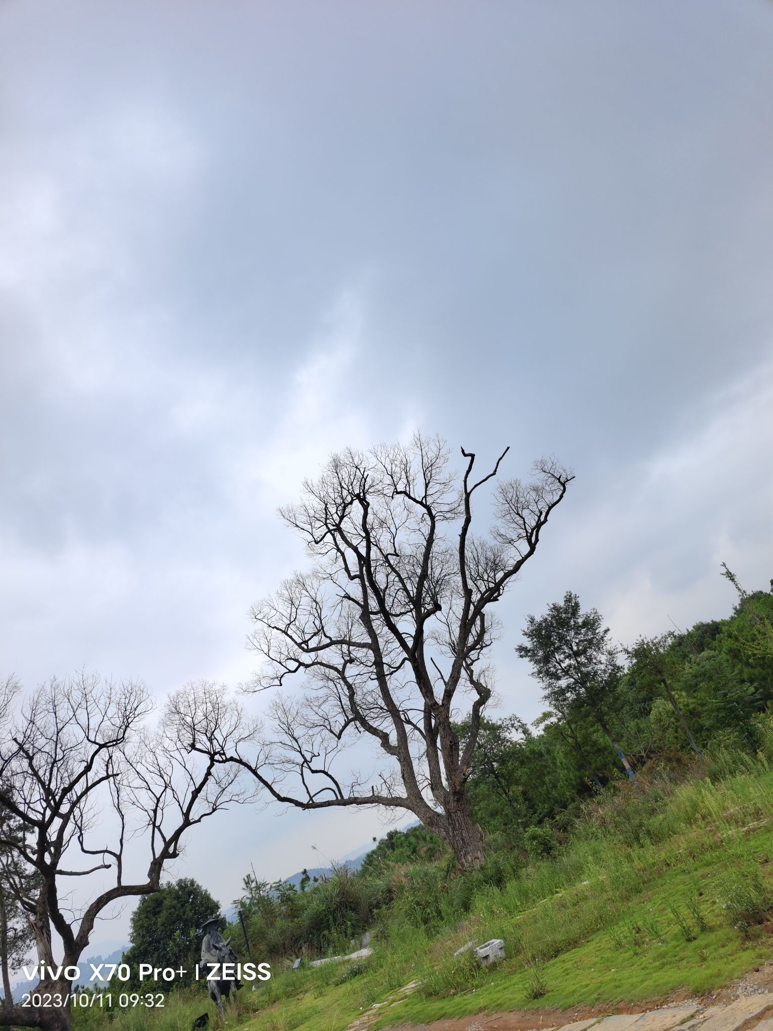 秦汉古道森林公园旅行图片 3