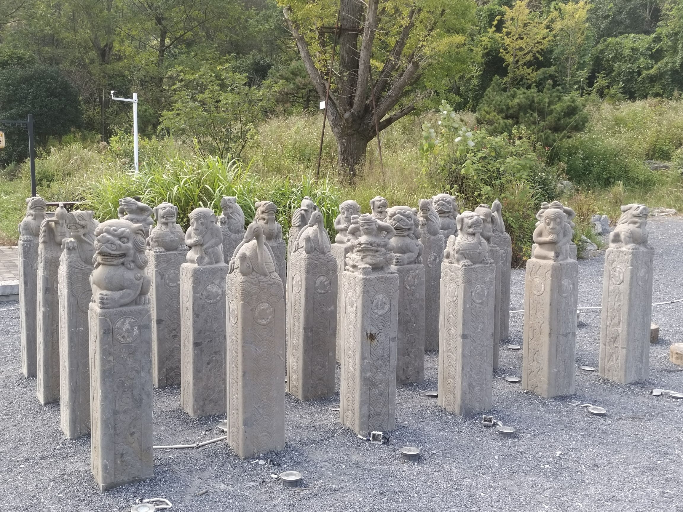 秦汉古道森林公园旅行图片 1