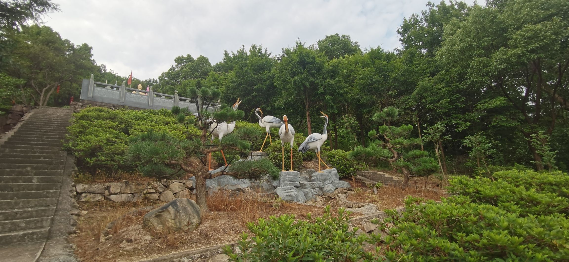 大美山森林公园旅行图片 3