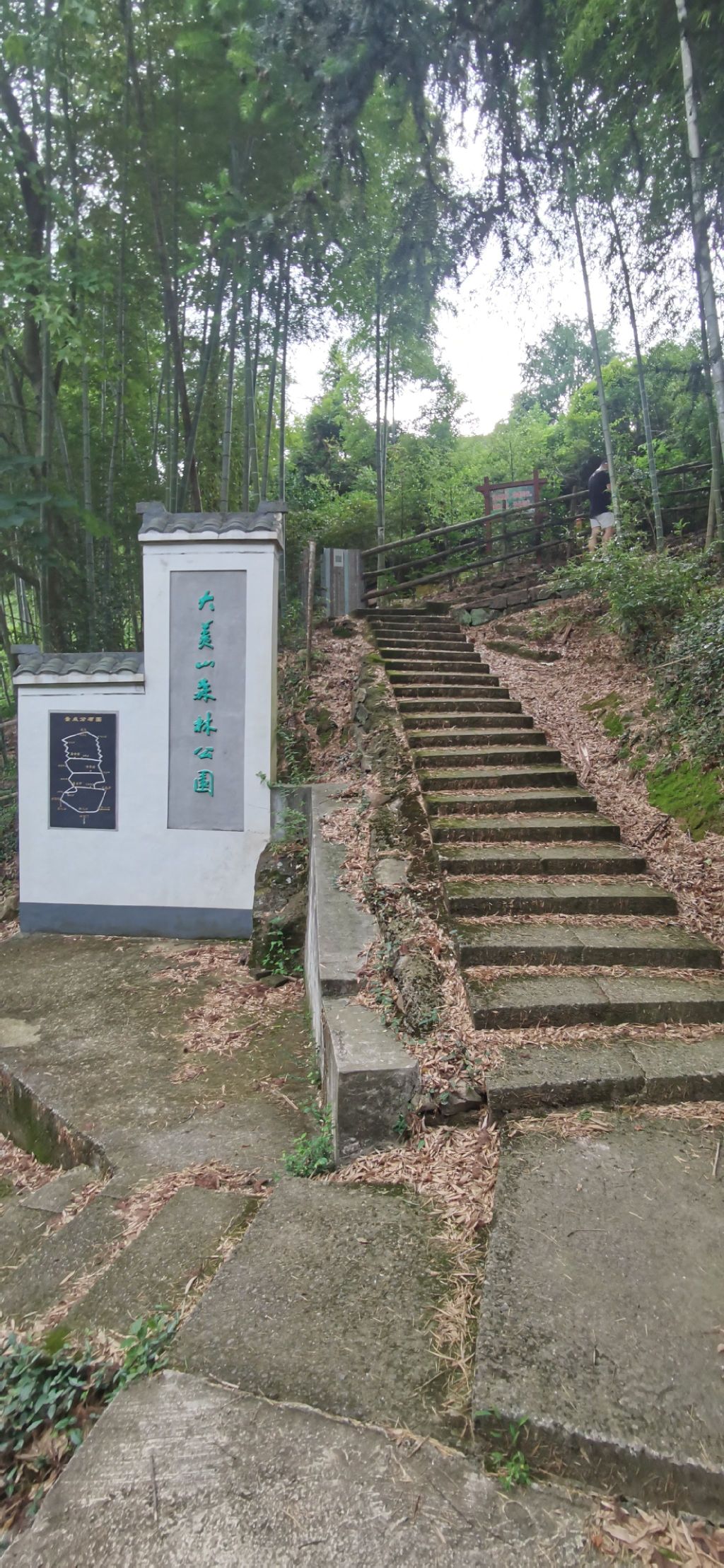 大美山森林公园旅行图片 1