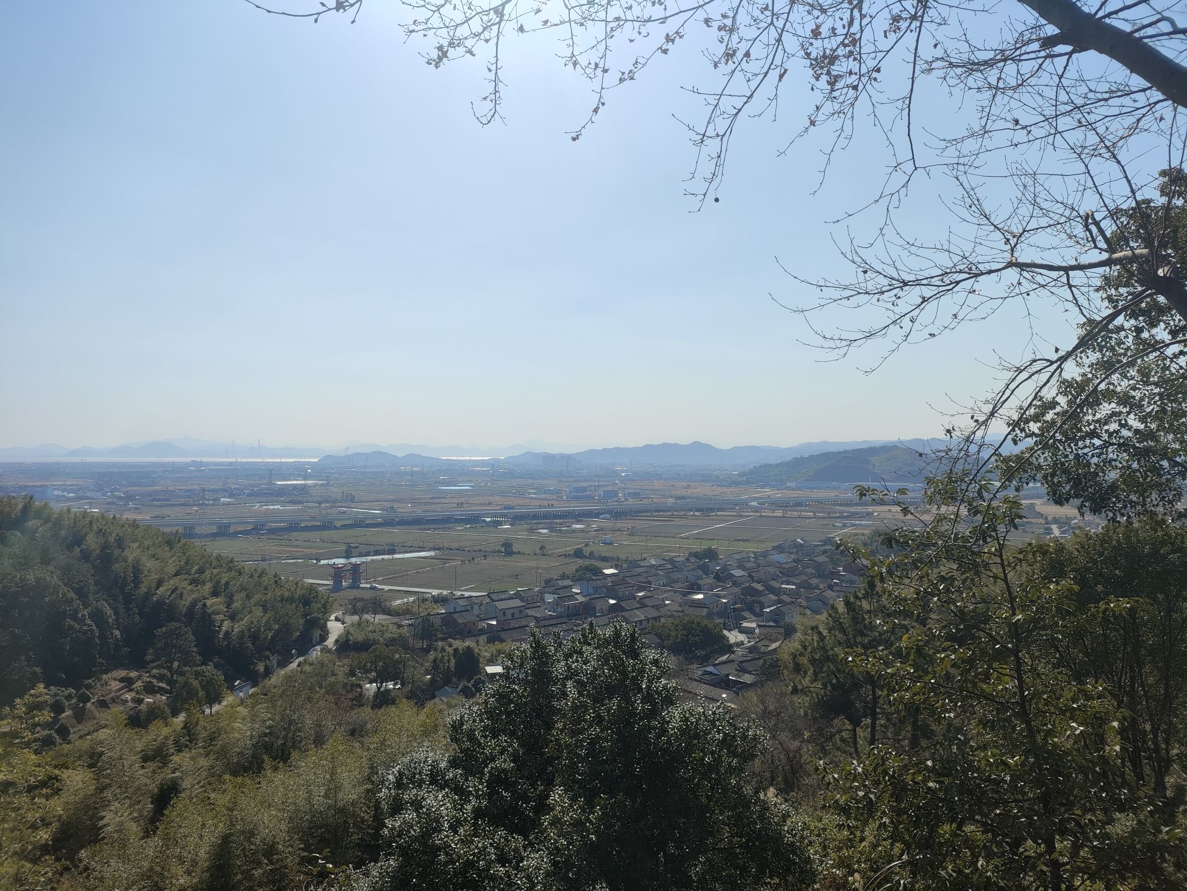 大美山森林公园旅行图片 2