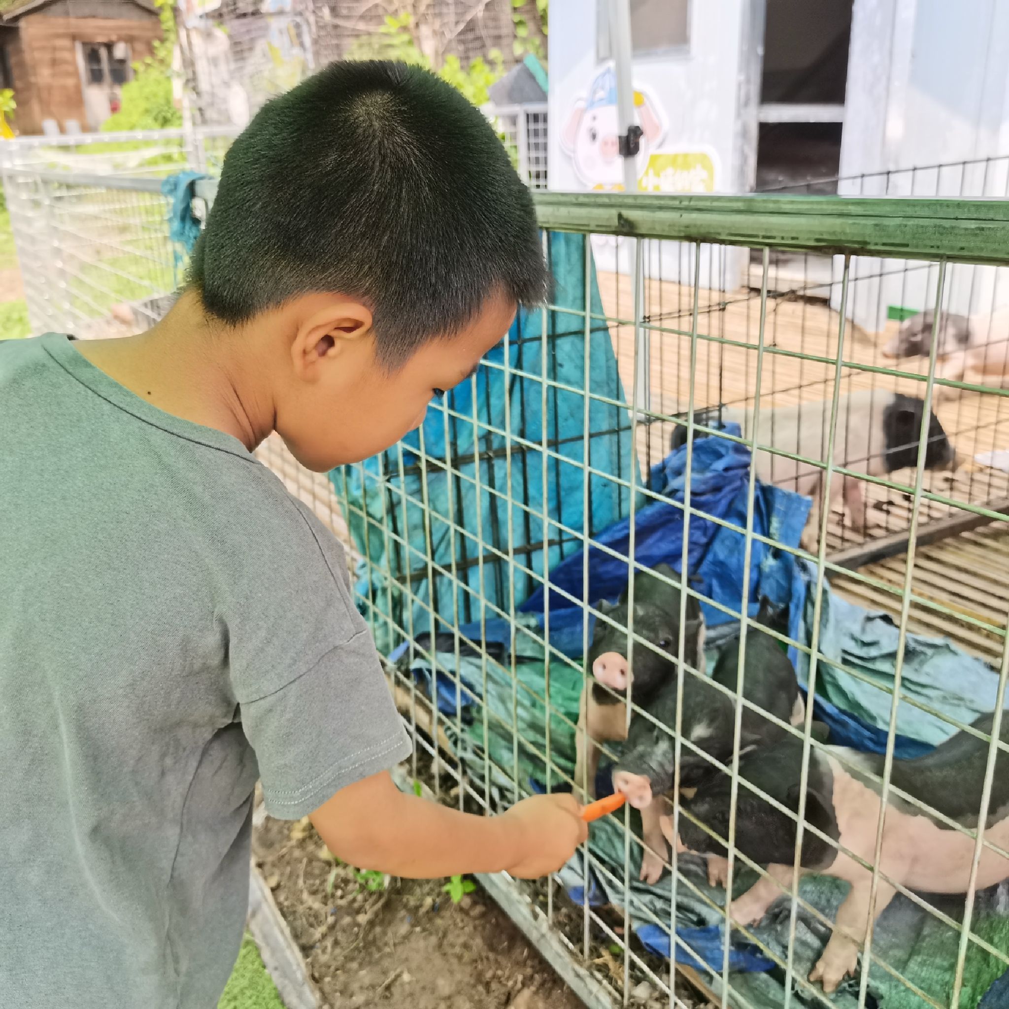 鹿苑萌宠乐园旅行图片 1
