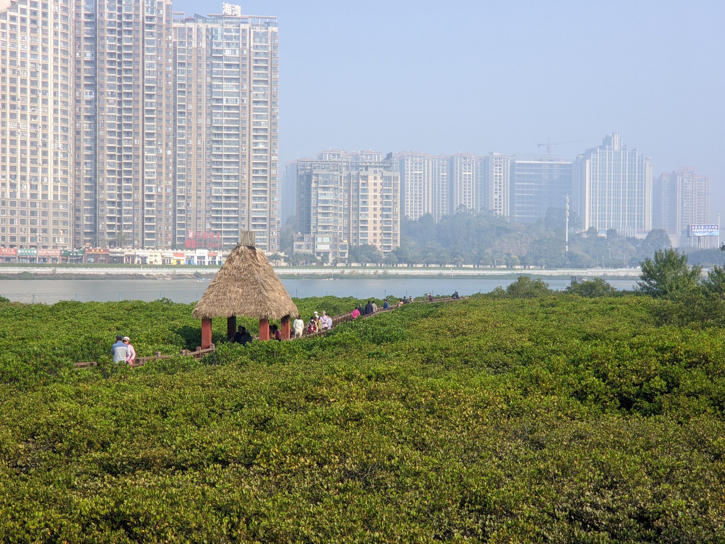 红沙环生态公园旅行图片 3