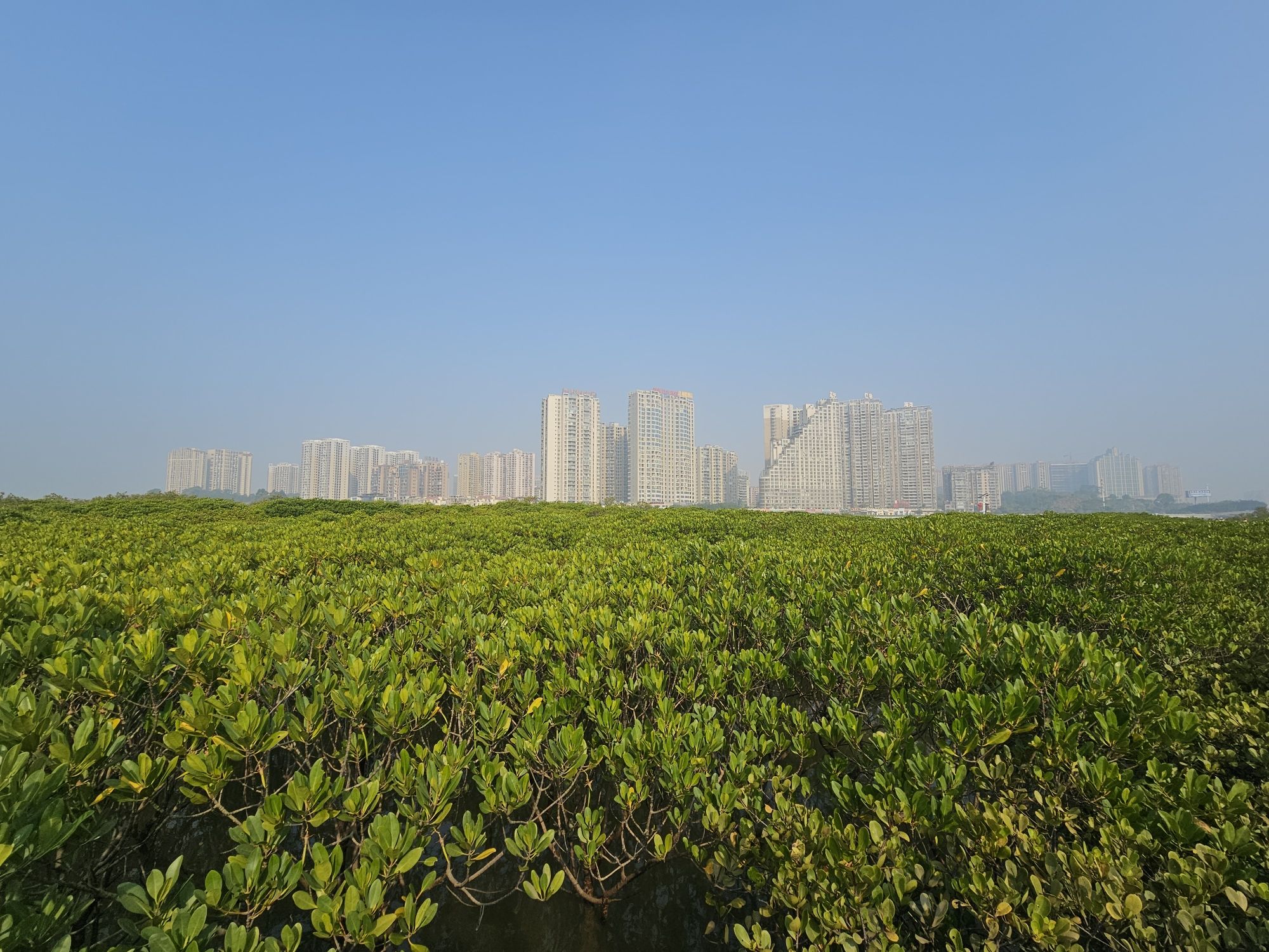 红沙环生态公园旅行图片 1