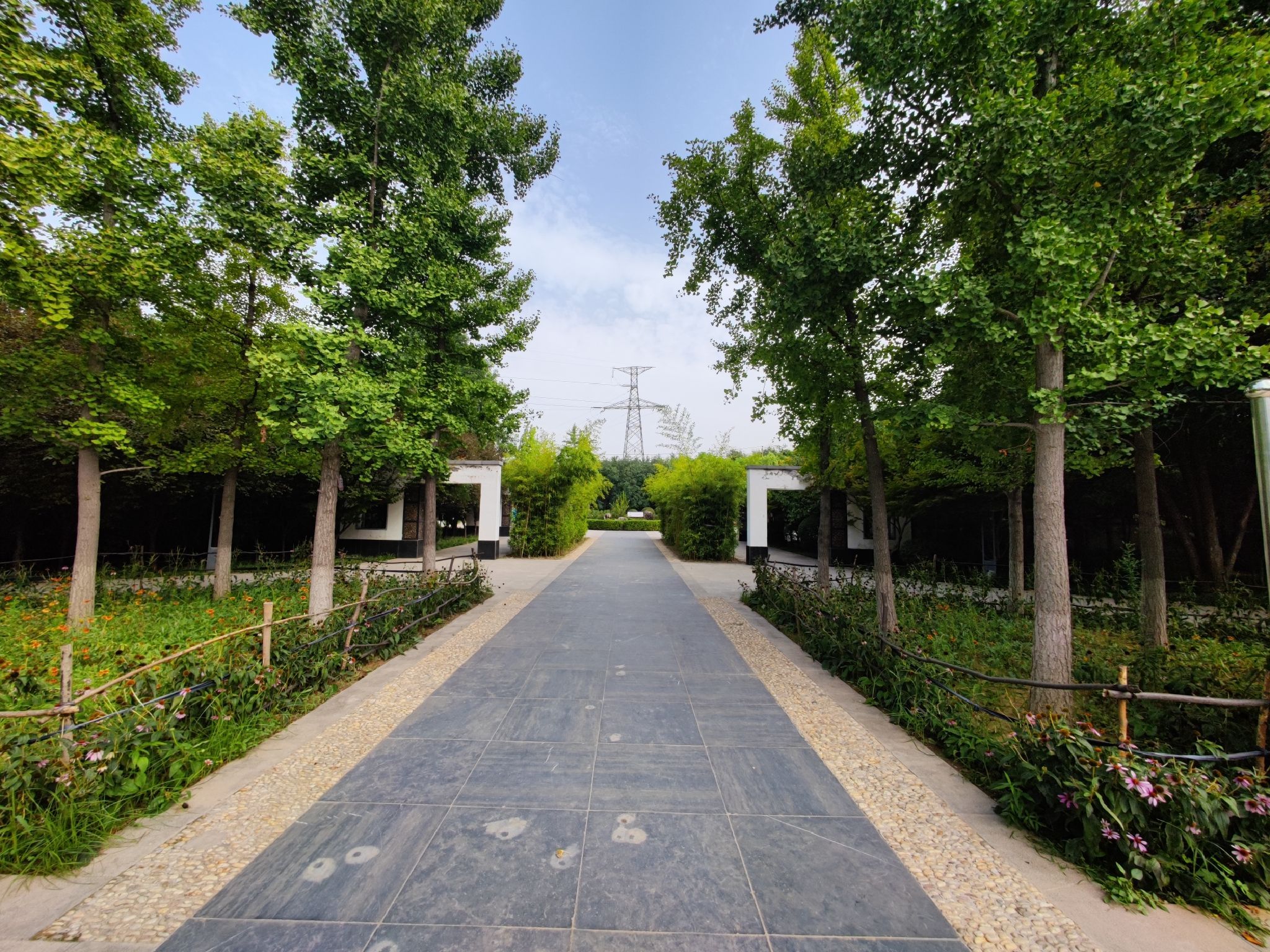 孟津路公园旅行图片 1