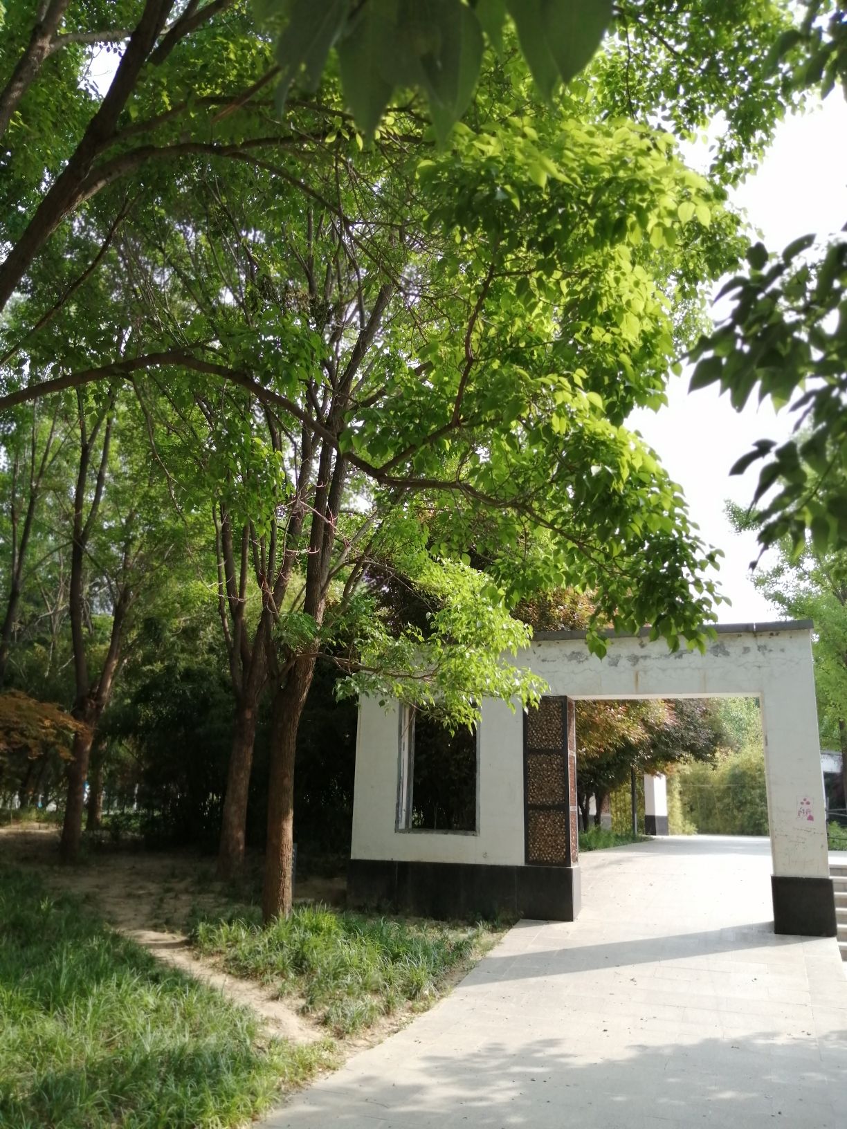 孟津路公园旅行图片 2
