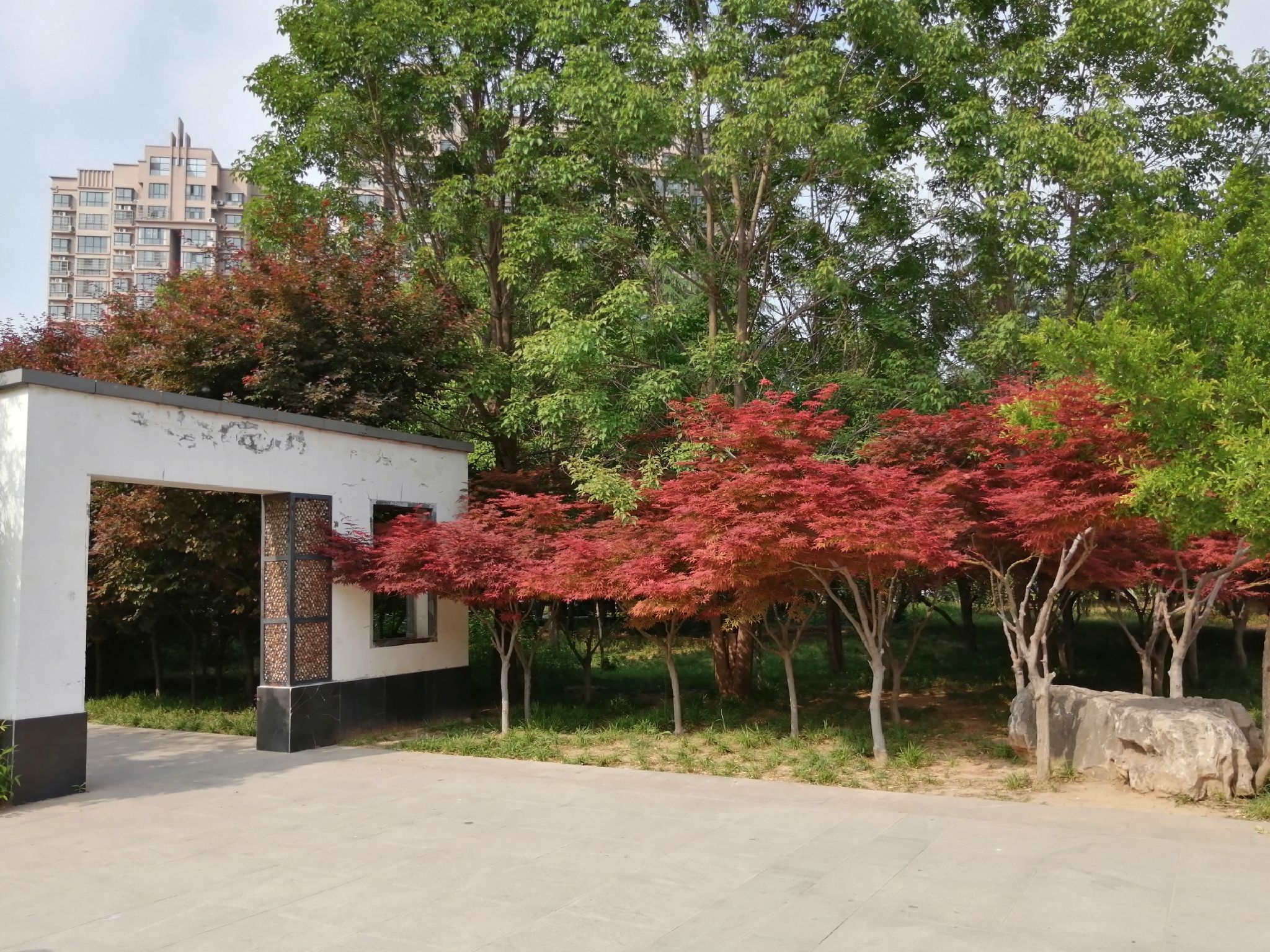 孟津路公园旅行图片 1