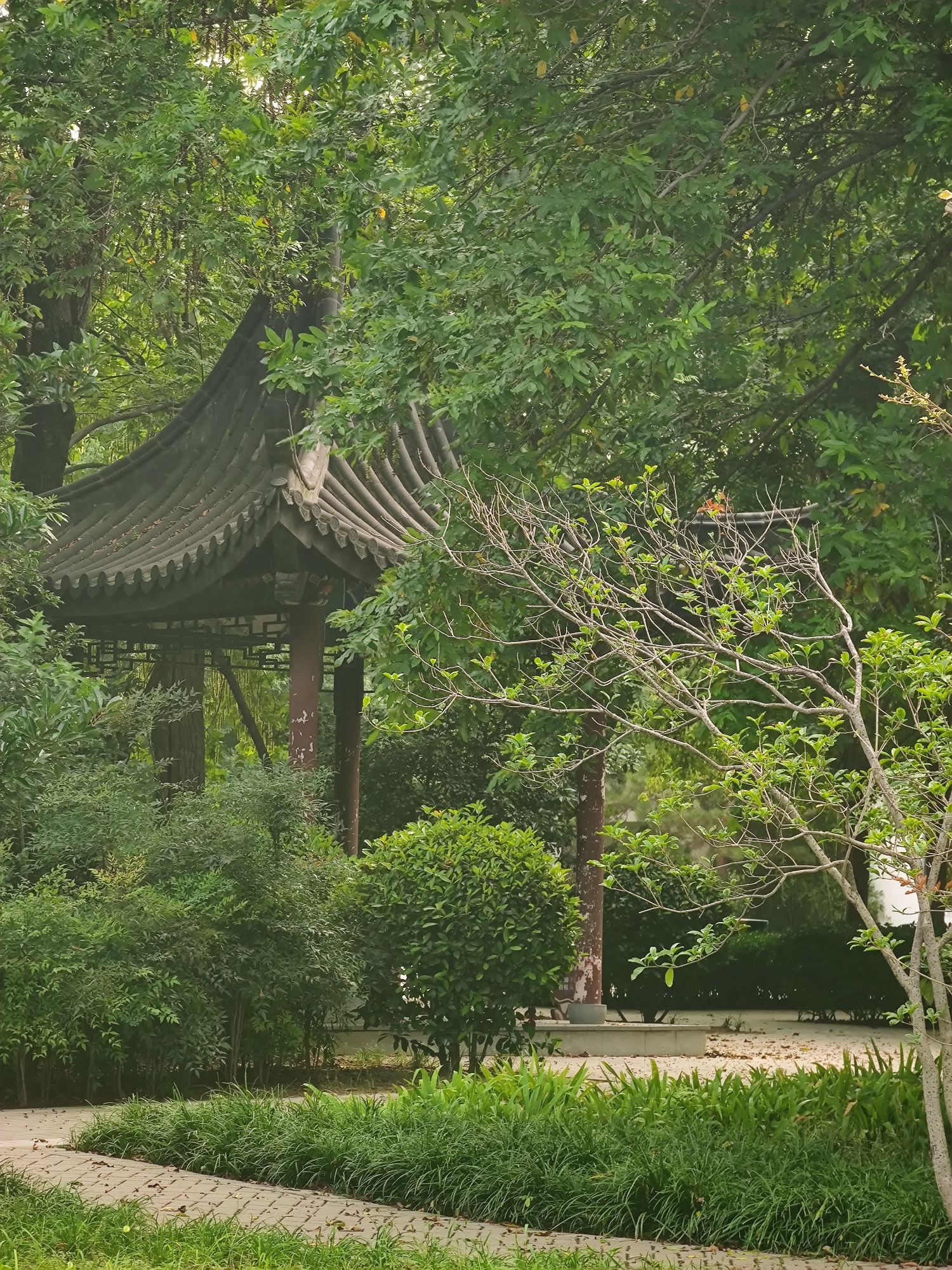 孟津路公园旅行图片 2