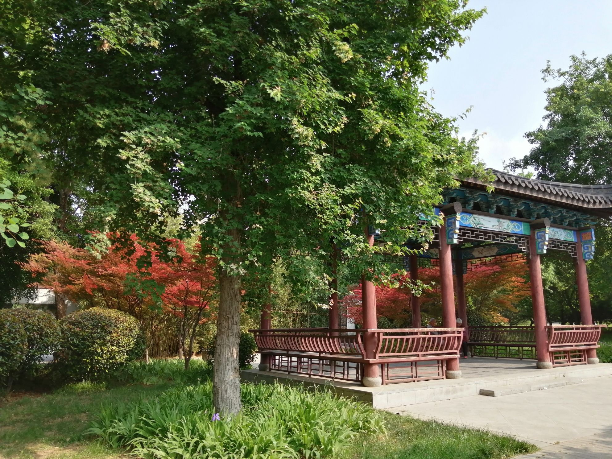 孟津路公园旅行图片 3