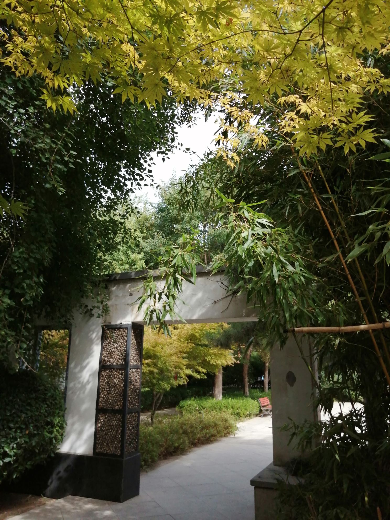 孟津路公园旅行图片 1
