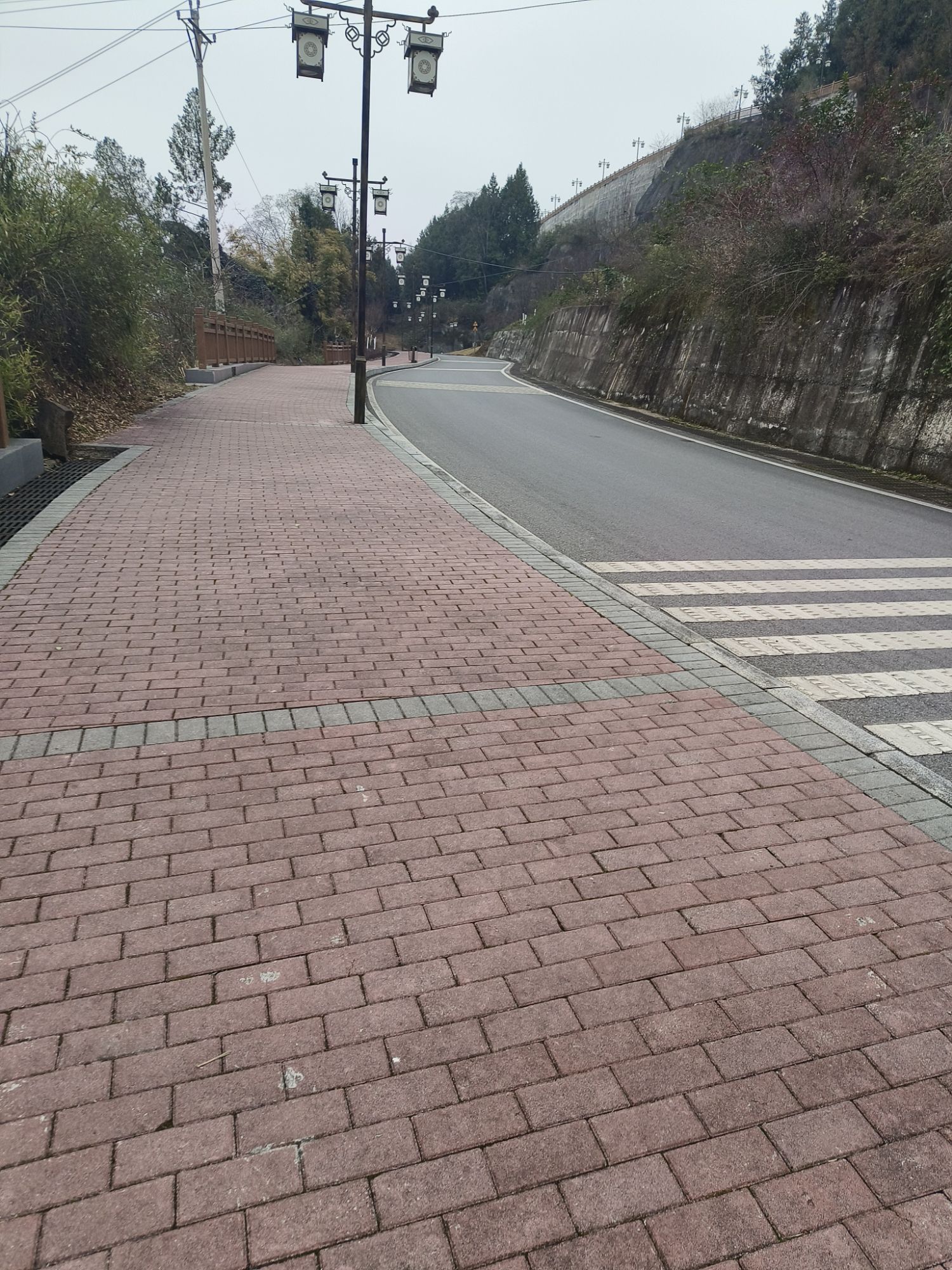 壁山森林公园旅行图片 1