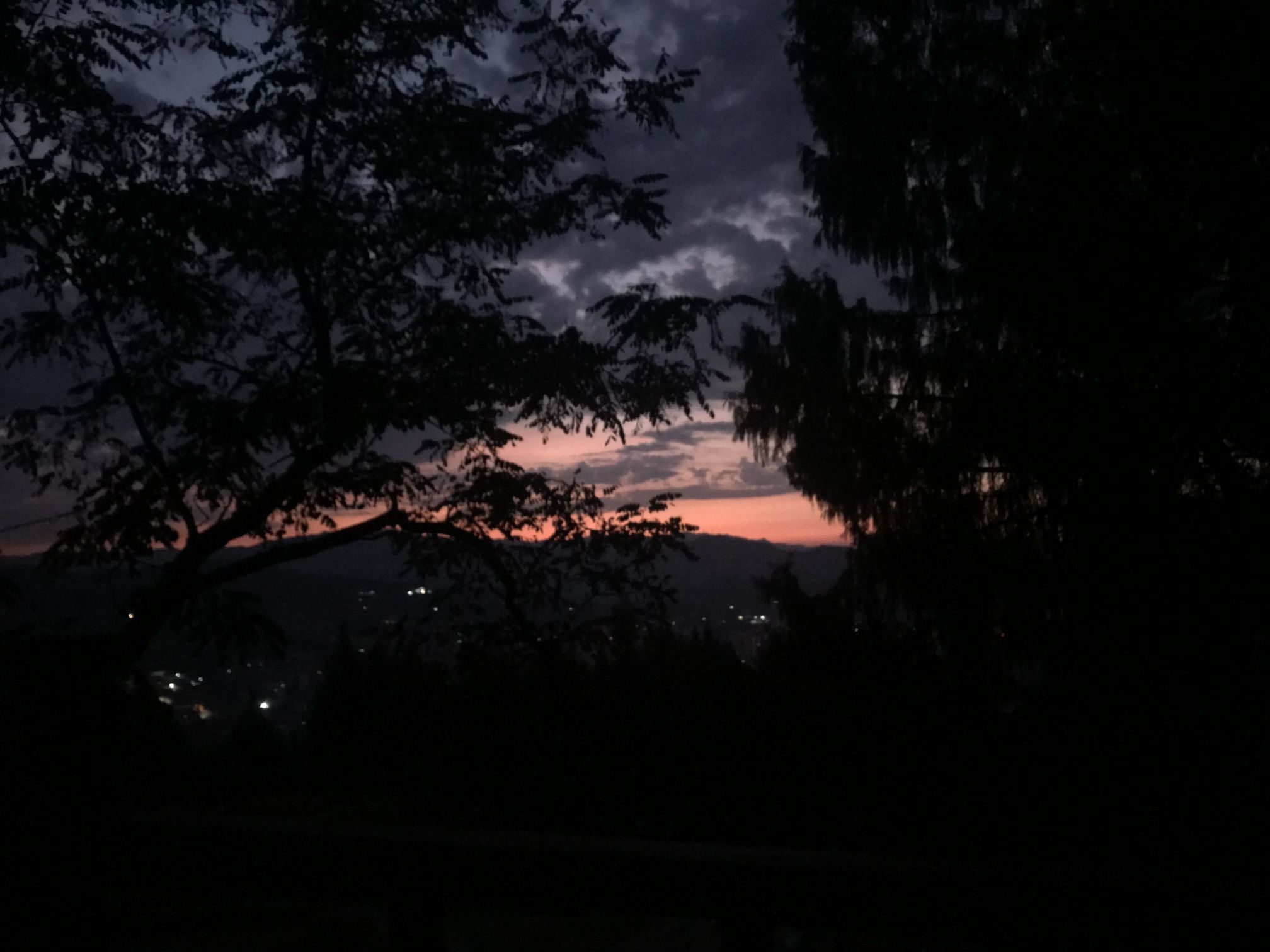 壁山森林公园旅行图片 2